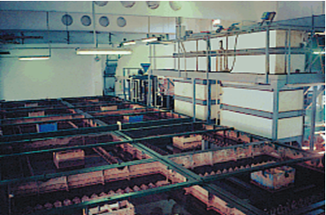 Филипчук ВЛ3.png