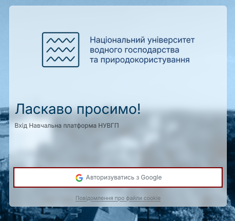 Файл:Moodleauth.png