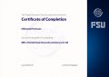 Мініатюра для версії від 23:19, 22 жовтня 2026