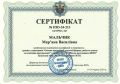 2024 червень сертифікат Мальчик М.В. (2).jpg